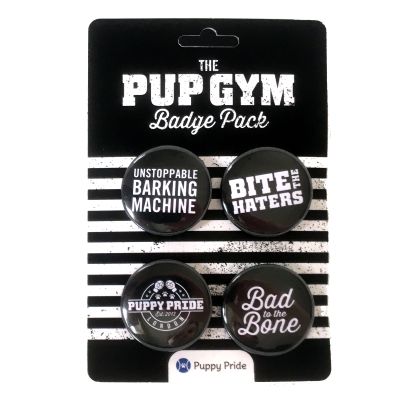 Gym Badge Set