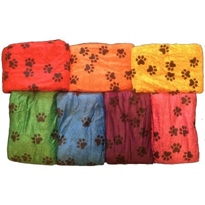 Messy Paws Blanket
