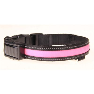 LED Dog Collars - Pink