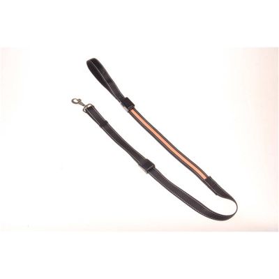 LED Dog Lead - Orange