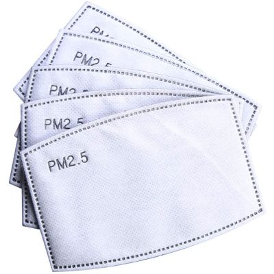 10 Disposable 5 layer Filters