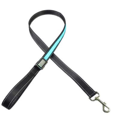 LED Dog Lead - Blue