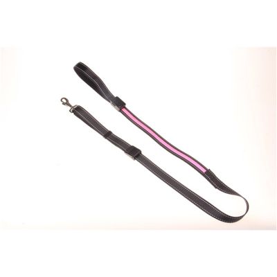 LED Dog Lead - Pink