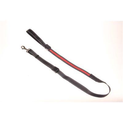 LED Dog Lead - Red