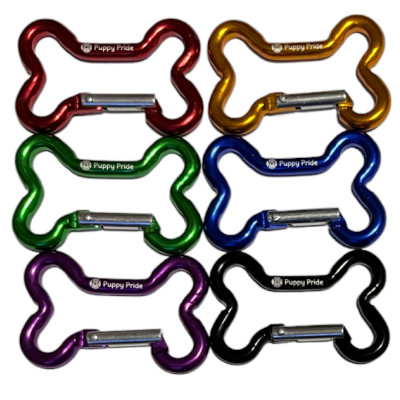 Carabiner Bone Clip