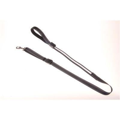 LED Dog Lead - White