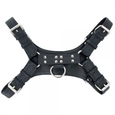 Handle Harness