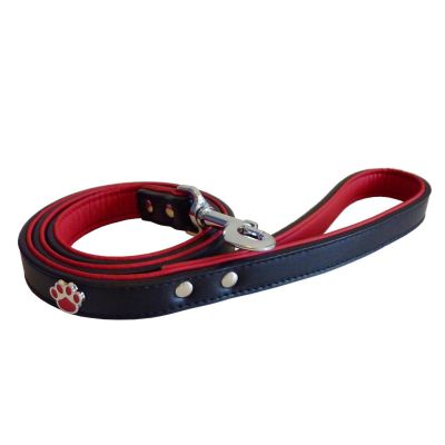 Paws Charm Leather Lead