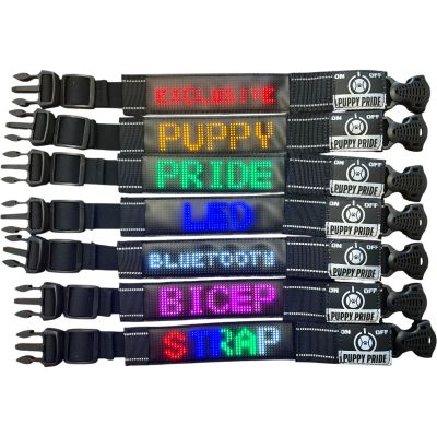 Bluetooth LED Armband