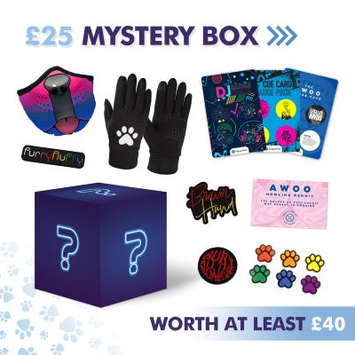 £25 Mystery Box