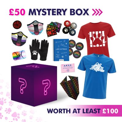 £50 Mystery Box