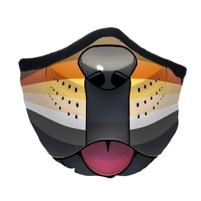 Face Mask V2 - Bear