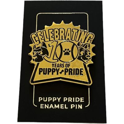 10th Anniversary Pin