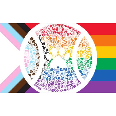 Progress Pride Flag 2022