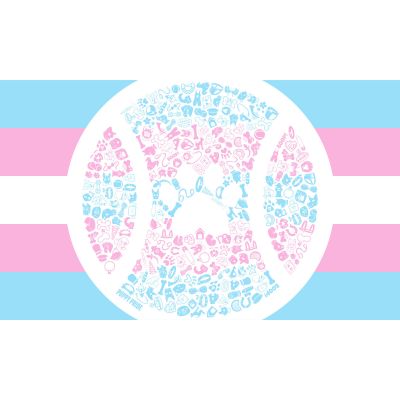 Transgender Pride Flag 2022