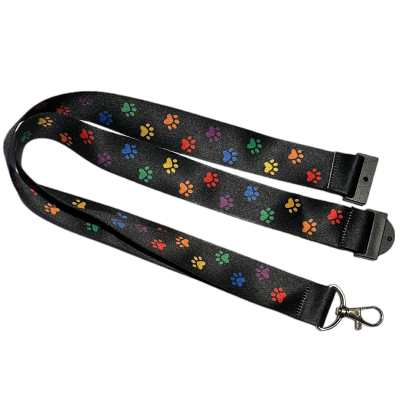 Rainbow Trail Lanyard