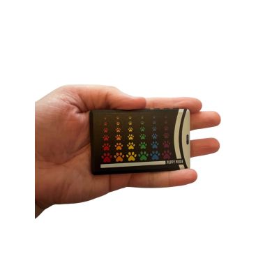 Wallet Bluetooth Speaker