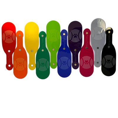 Snap 'n' Spank Logo Paddle