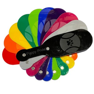 Snap 'n' Spank Logo Paddle