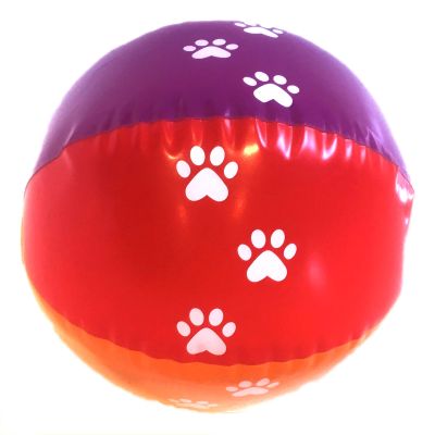 Rainbow Beach Ball