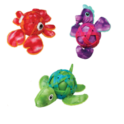 Kong Sea Shells