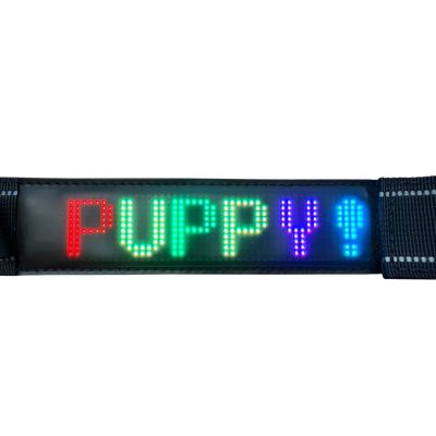Bluetooth LED Armband RGB