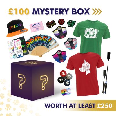 £100 Mystery Box