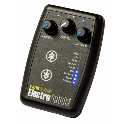 NEW ElectroPebble
