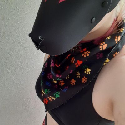 Rainbow Bandana