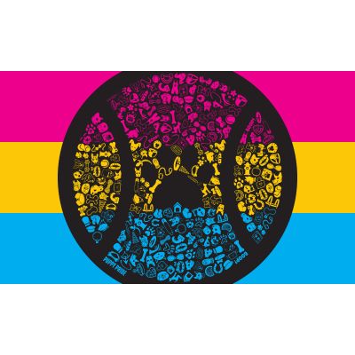 Pansexual Flag 2022